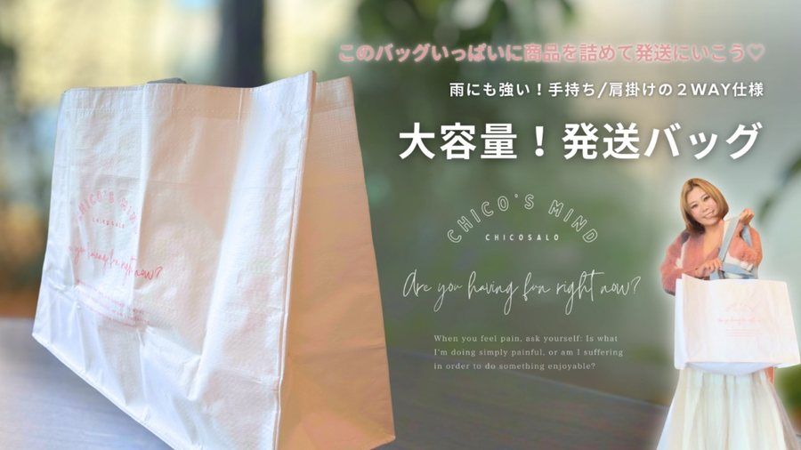 大容量の発送バッグ